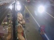 UKRADI PLIŠANOG MEDU DRUGI DEO! JOŠ JEDNA HIT KRAĐA NA BANJICI (VIDEO)