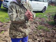 VAŽNO OBAVEŠTENJE! NESTALA DANKA ILIĆ DEVOJČICA OD DVE GODINE